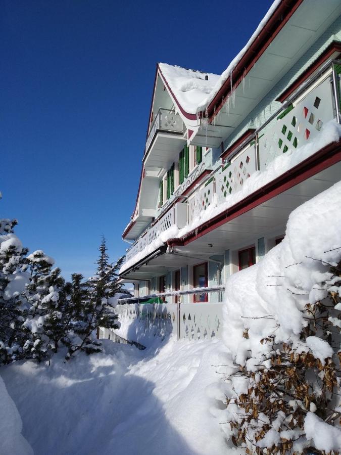 Gasthaus Friedegg Wildhaus Zewnętrze zdjęcie